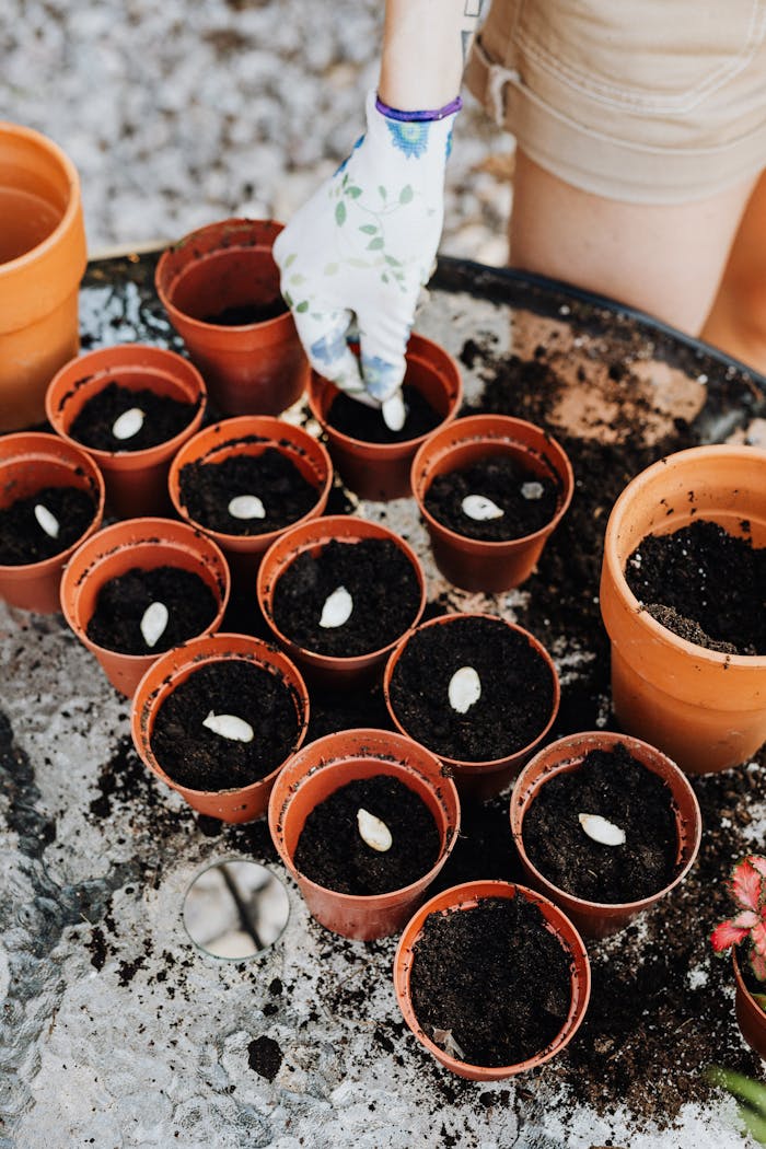 heros-img Individual planting seeds in terracotta pots outdoors, showcasing gardening tools and techniques.