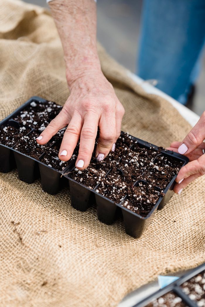 about-us-02 From above of crop anonymous female gardener putting seeds into container of soil placed on table during work in garden